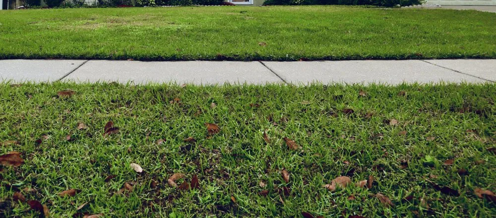 Affordable yard maintenance for homes across Orlando, FL - Green Grass of Orlando