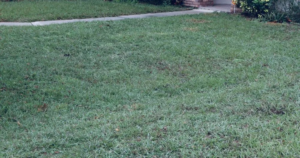 Trusted lawn care service for homes in Orlando, FL by Green Grass of Orlando