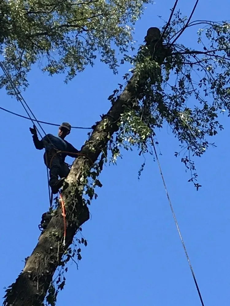 Local landscape design for outdoor upgrades across Atlanta, GA - Green Grass Pro