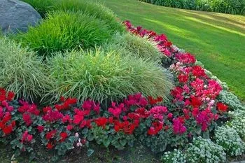 Professional landscape design in Atlanta, GA by Green Grass Pro