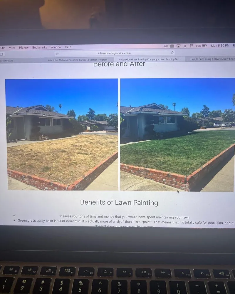 Reliable landscape installation for outdoor upgrades across Dothan, AL - Green Grass Professionals