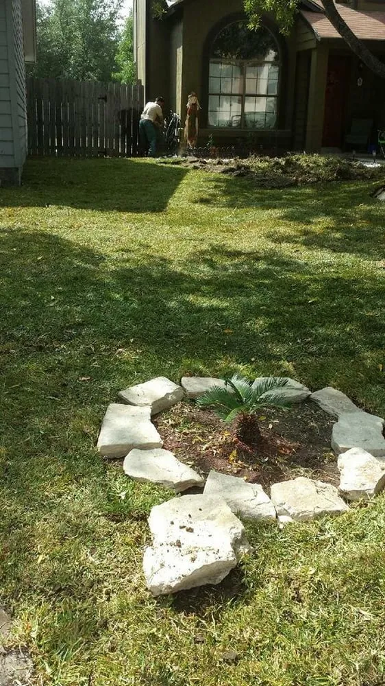 Local landscape design experts serving San Antonio, TX - Green Grass