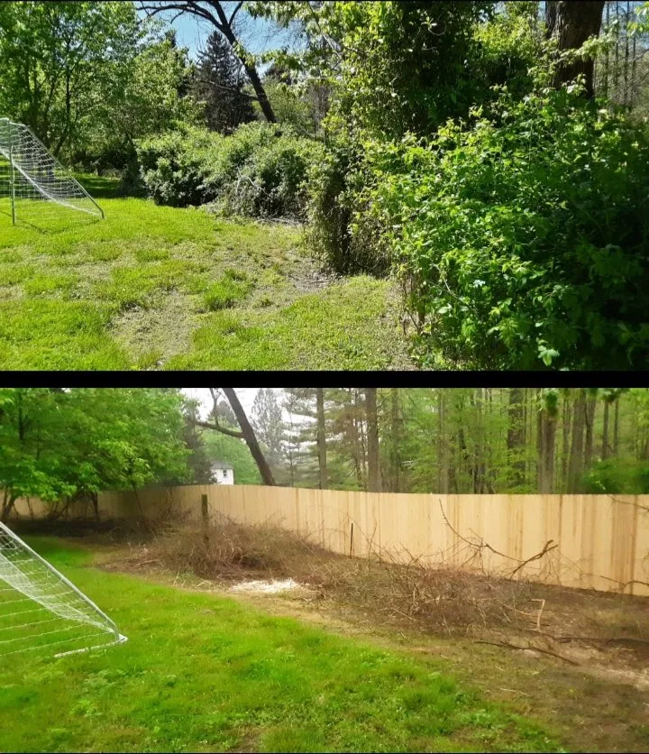 Reliable yard maintenance experts serving Oxford, PA - Green Grazer Goats