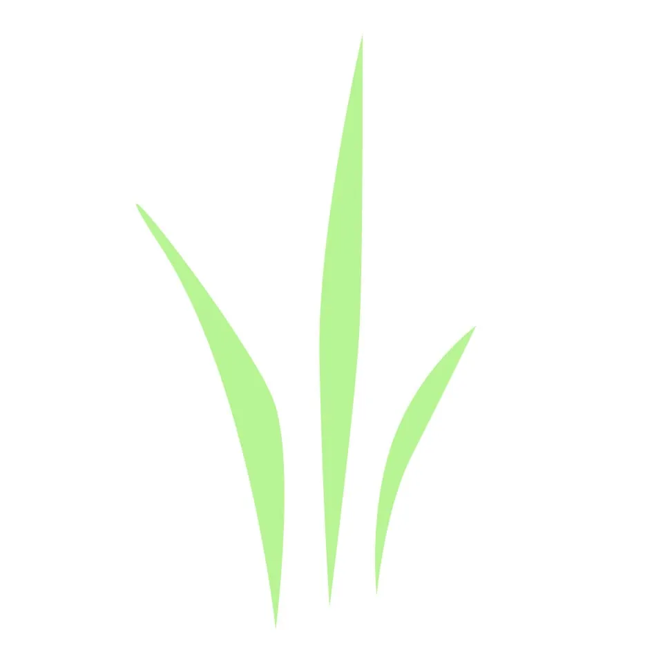 Reliable lawn care service for beautiful yards in Smyrna, TN by Green Green Lawn Service