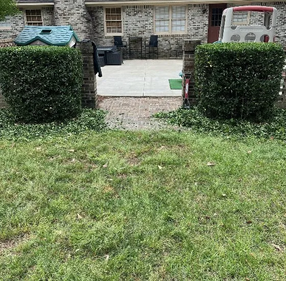 Trusted garden landscaping for beautiful yards across Orangeburg, SC - Green Grinders