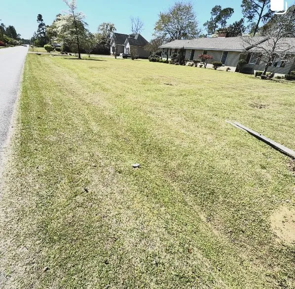 Professional yard maintenance for residential properties across Orangeburg, SC - Green Grinders