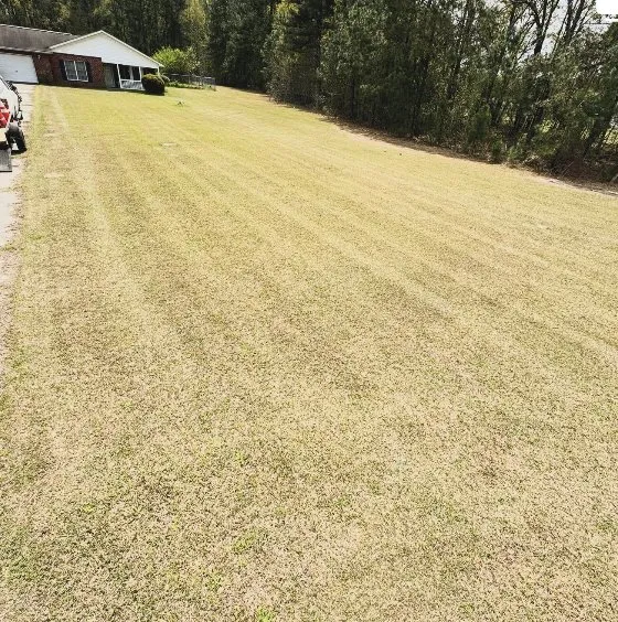 Expert yard cleanup service experts serving Orangeburg, SC - Green Grinders