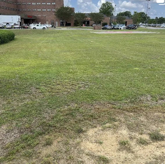 Custom landscape installation for residential properties in Orangeburg, SC by Green Grinders