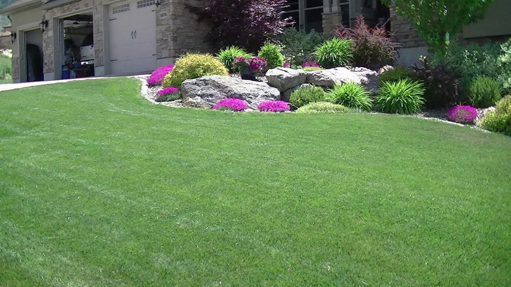 Professional landscaping services for outdoor upgrades in Providence, UT by Green Gro Hydroseeding