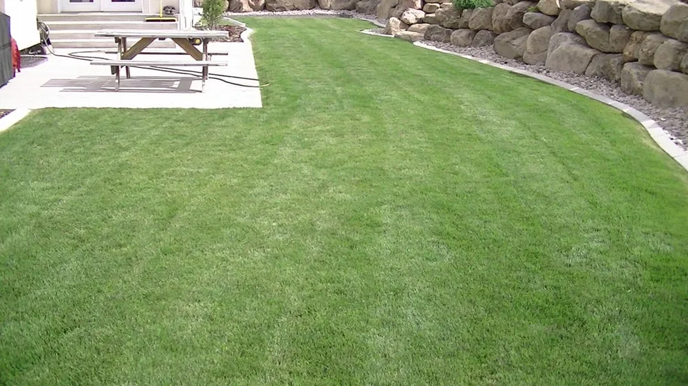 Local lawn care service near you across Providence, UT - Green Gro Hydroseeding