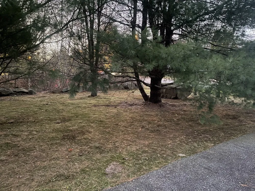 Local lawn care service in Pawtucket, RI by Green Groomers