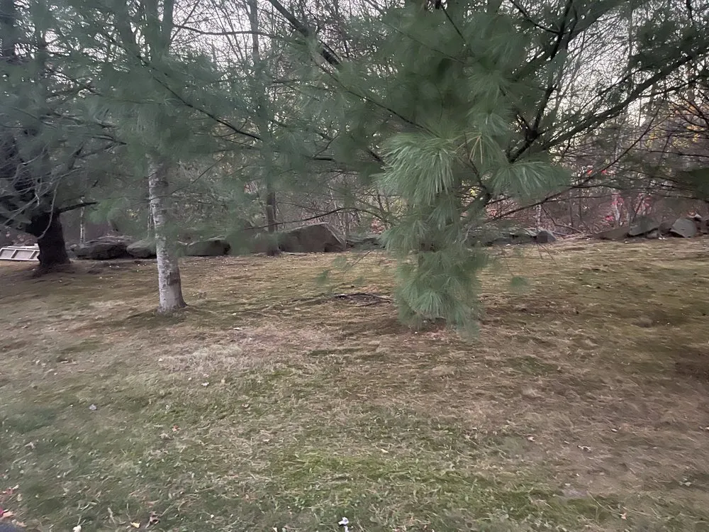 Expert lawn mowing service experts serving Pawtucket, RI - Green Groomers