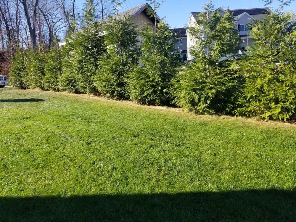 Trusted lawn care service experts serving Pawtucket, RI - Green Groomers