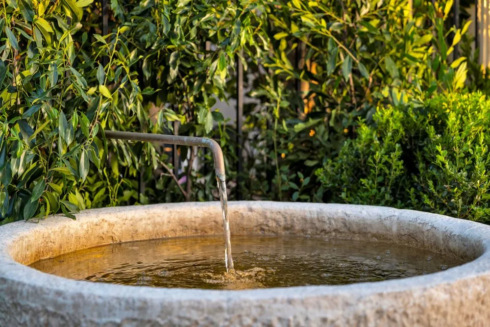 Top-rated residential landscaping in Los Angeles, CA - Green Grounds Landscape Services