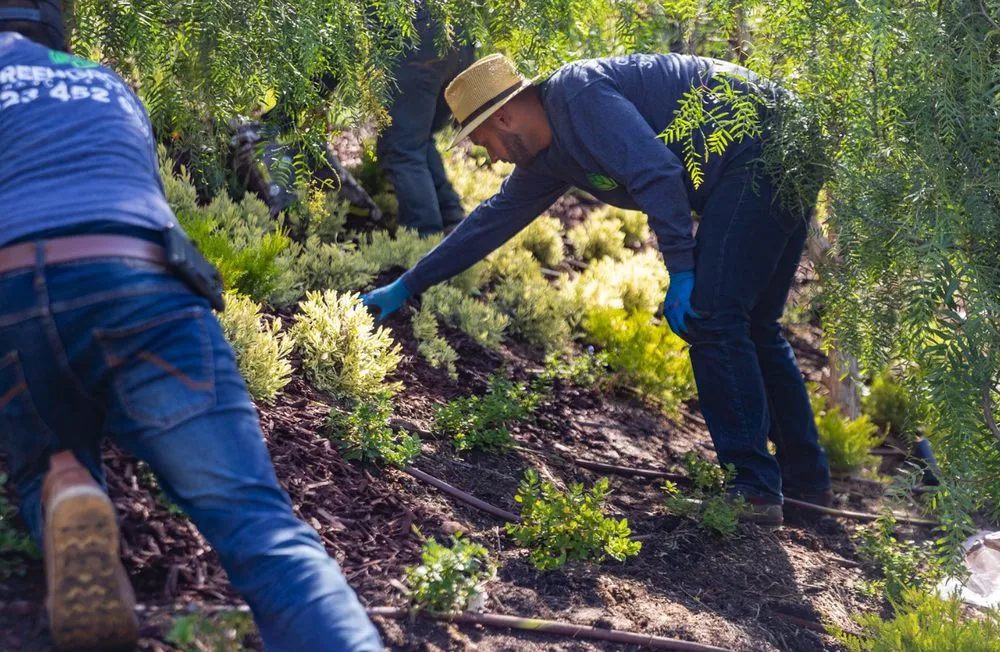 Trusted garden landscaping in Los Angeles, CA by Green Grounds Landscape Services