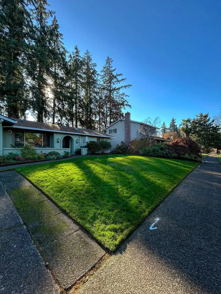 Custom landscaping services for outdoor upgrades across Bremerton, WA - Green Grounds Landscaping And Hardscape