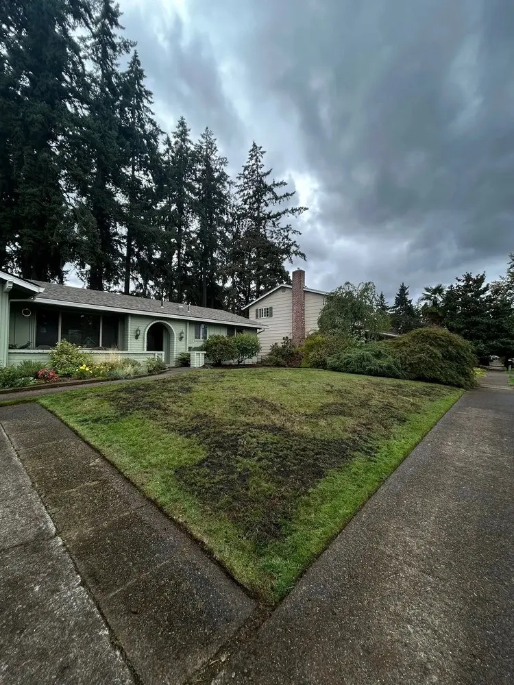 Top-rated lawn mowing service for year-round maintenance across Bremerton, WA - Green Grounds Landscaping And Hardscape