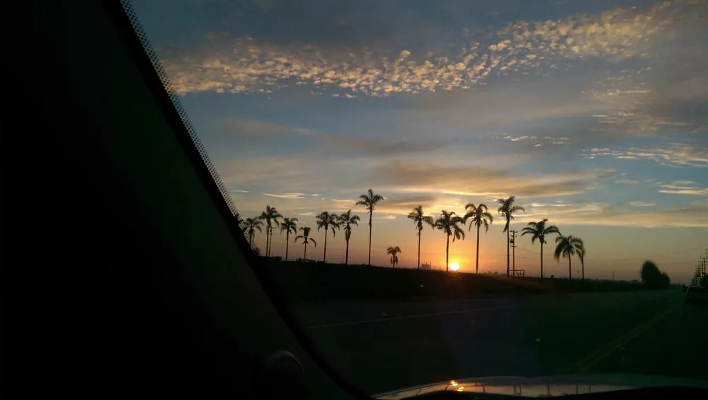 Reliable residential landscaping experts serving Camarillo, CA - Green Grounds Landscaping