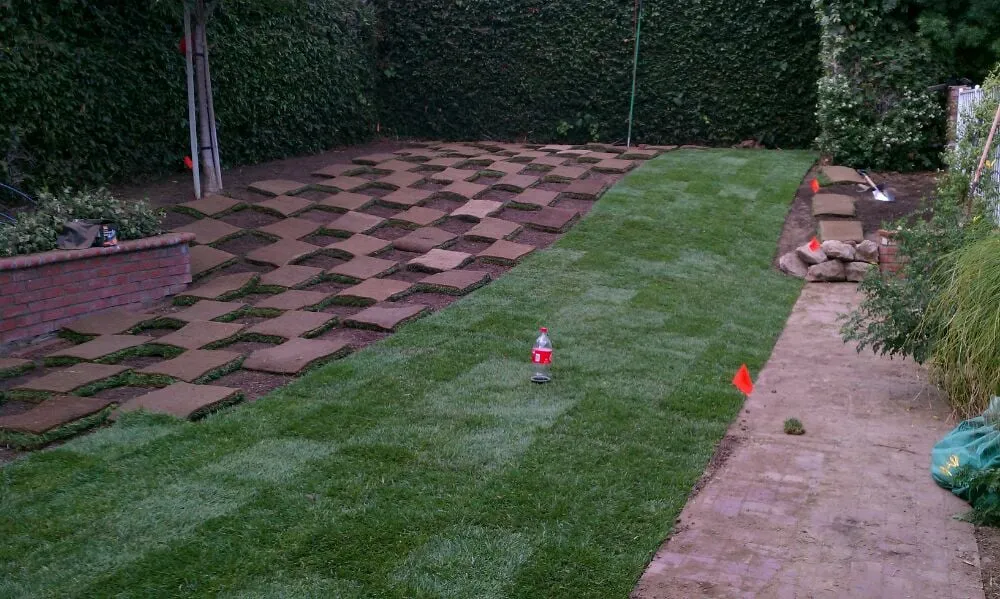 Custom residential landscaping experts serving Camarillo, CA - Green Grounds Landscaping