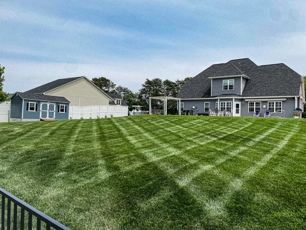 Affordable yard maintenance for outdoor upgrades across Charlotte, NC - Green Grounds Landscaping