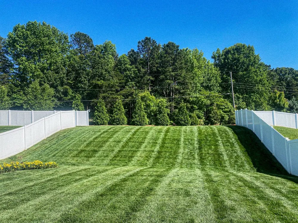 Affordable lawn care service in Charlotte, NC by Green Grounds Landscaping