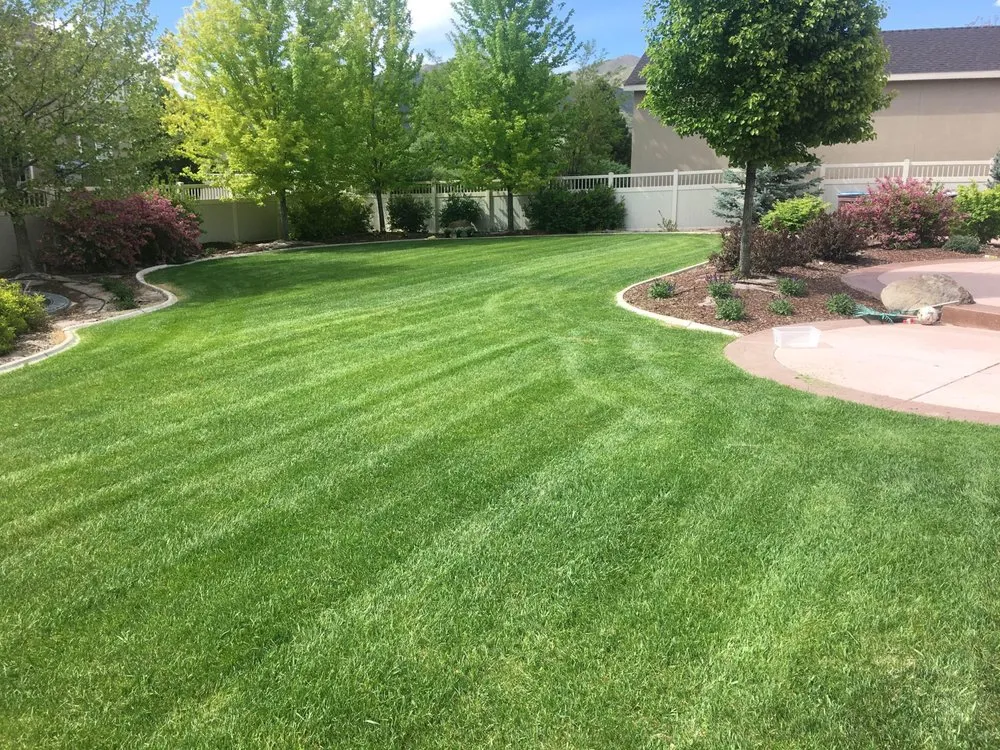 Reliable landscape installation for beautiful yards across Orem, UT - Green Grounds Lawn & Pest