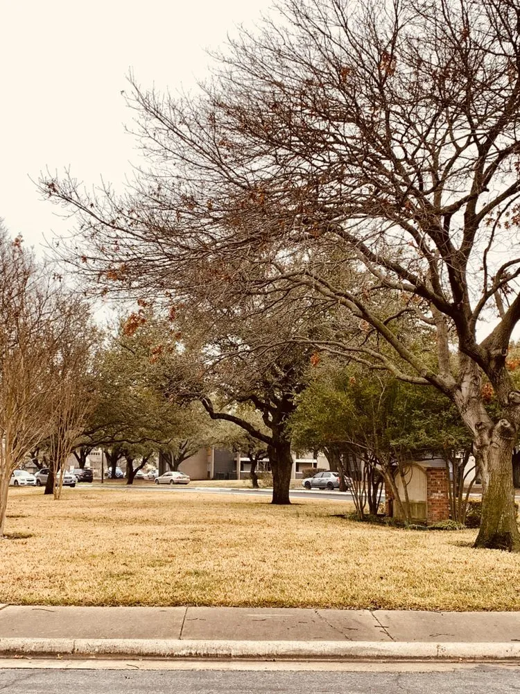 Expert landscape installation in McKinney, TX - Green-Grounds
