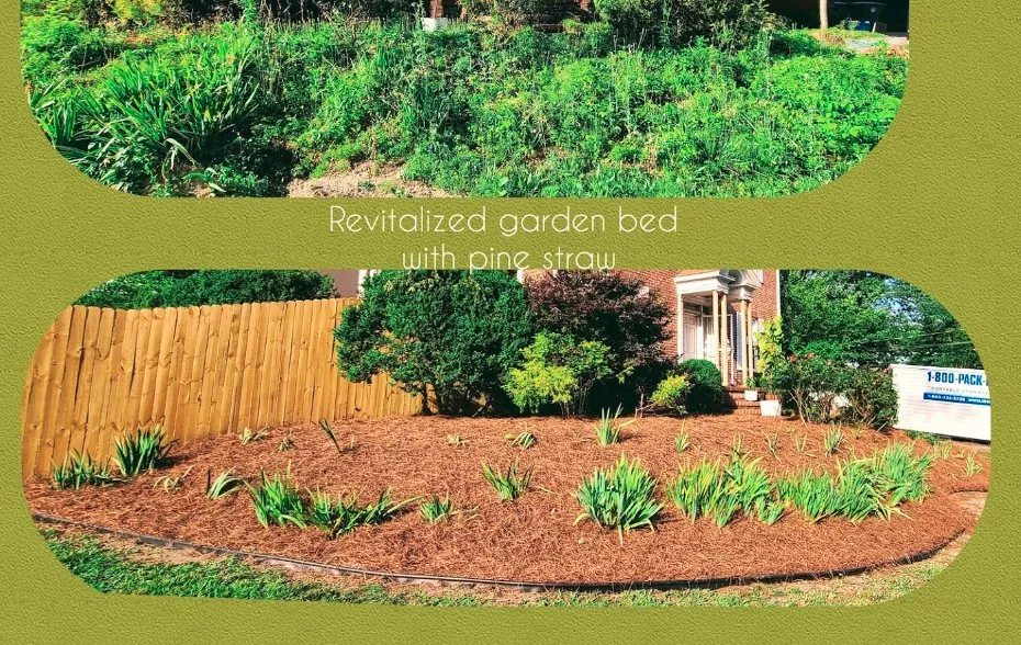 Professional yard cleanup service for year-round maintenance across Chattanooga, TN - Green Grounds Solutions