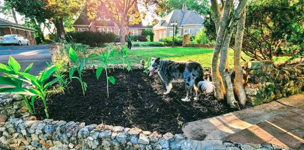 Local lawn care service for beautiful yards in Chattanooga, TN by Green Grounds Solutions