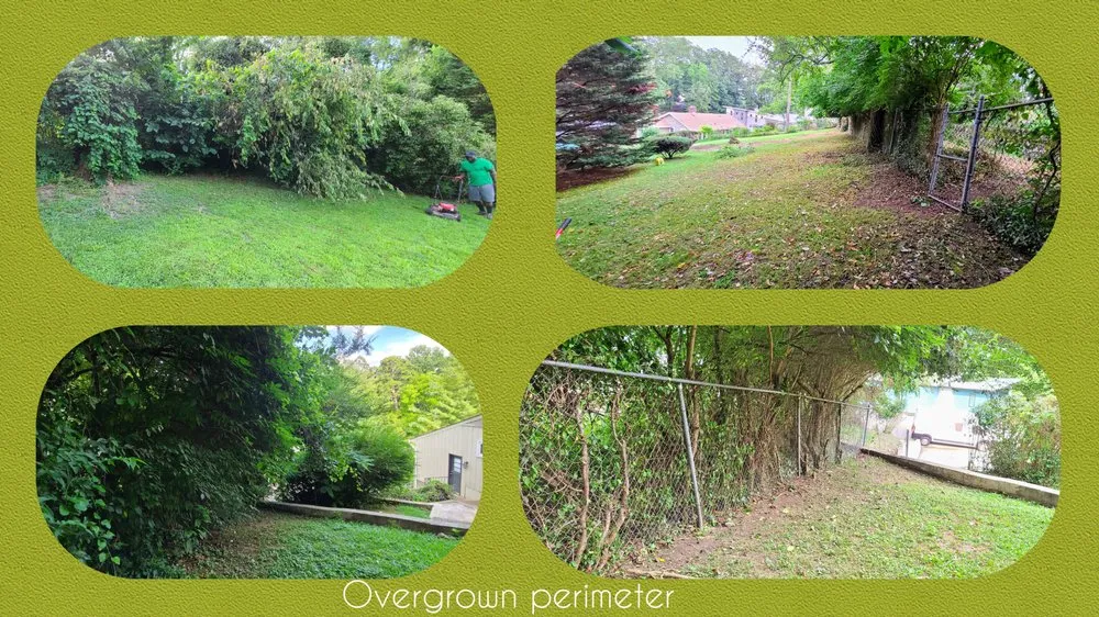 Affordable garden landscaping in Chattanooga, TN by Green Grounds Solutions