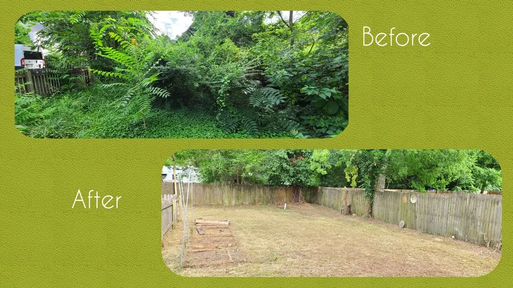 Trusted landscape installation with custom design in Chattanooga, TN by Green Grounds Solutions