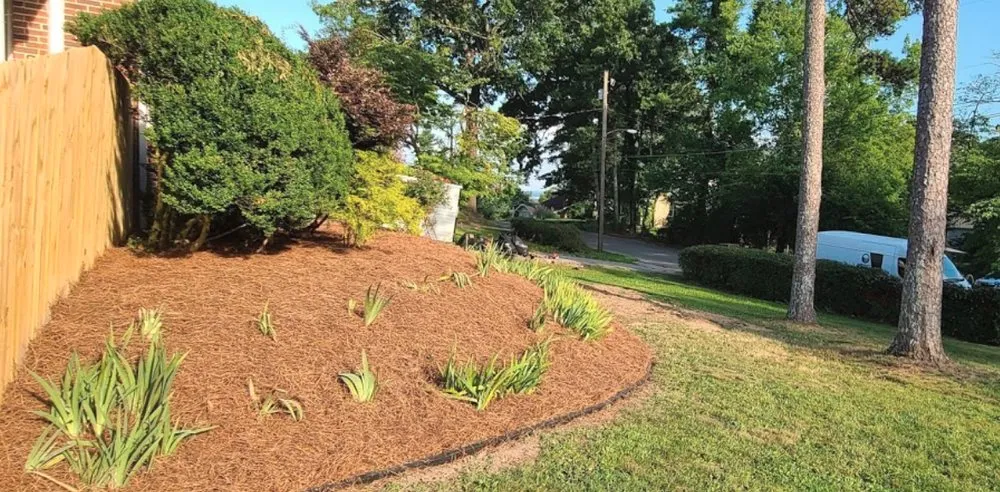 Local outdoor landscaping in Chattanooga, TN - Green Grounds Solutions