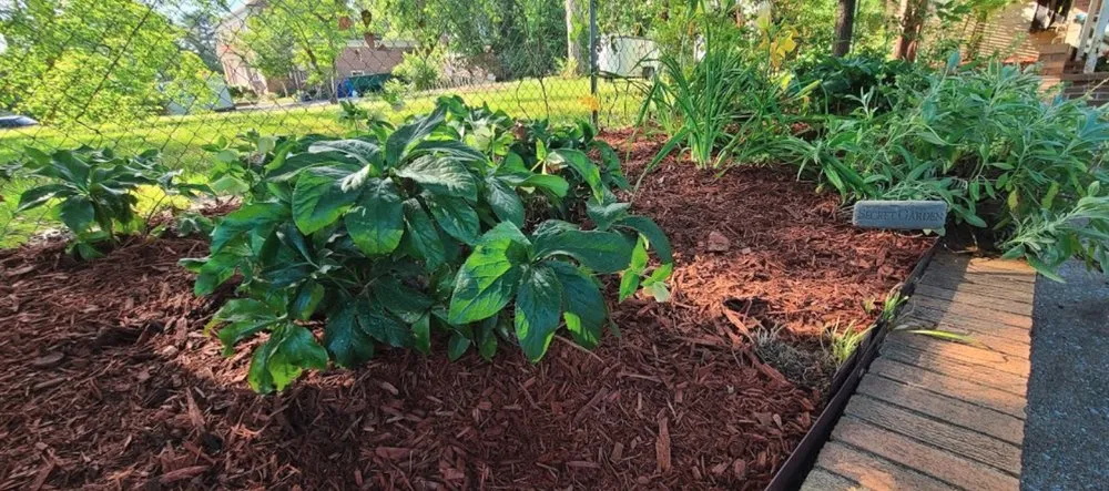 Trusted lawn care service in Chattanooga, TN by Green Grounds Solutions