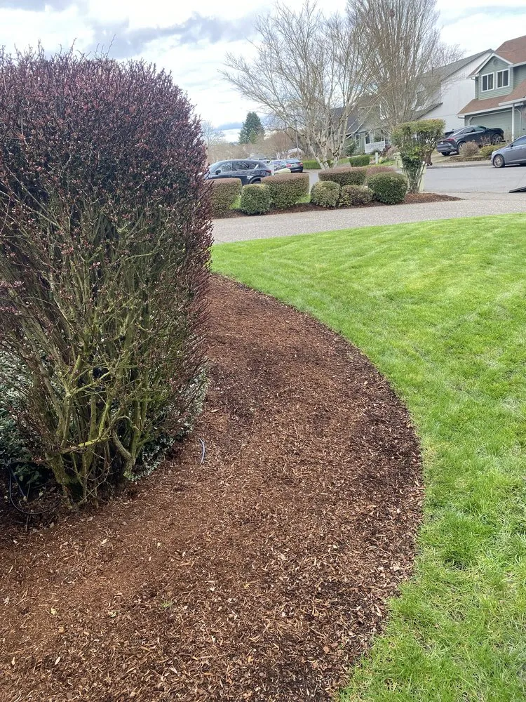 Custom outdoor landscaping experts serving Forest Grove, OR - Green Grove Yard Maintenance