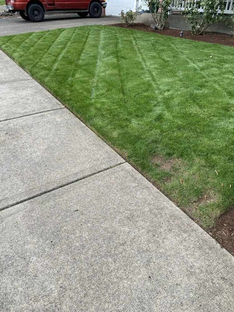 Expert lawn mowing service in Forest Grove, OR by Green Grove Yard Maintenance