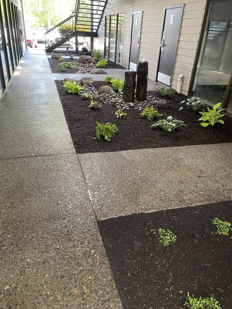 Expert yard maintenance experts serving Forest Grove, OR - Green Grove Yard Maintenance