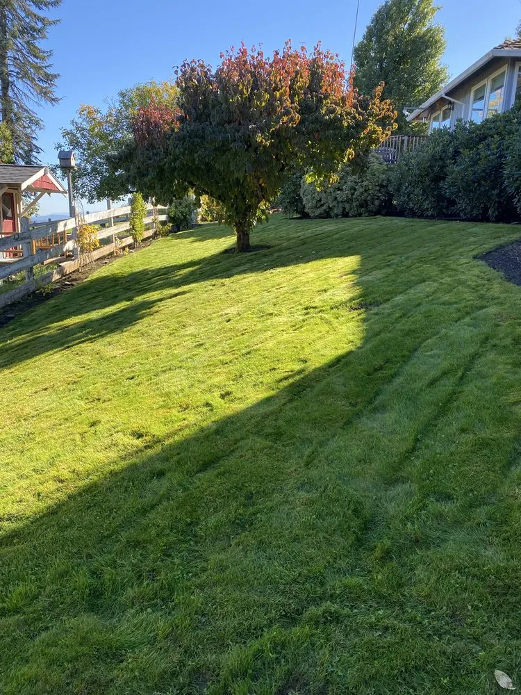 Local landscaping services in Forest Grove, OR - Green Grove Yard Maintenance