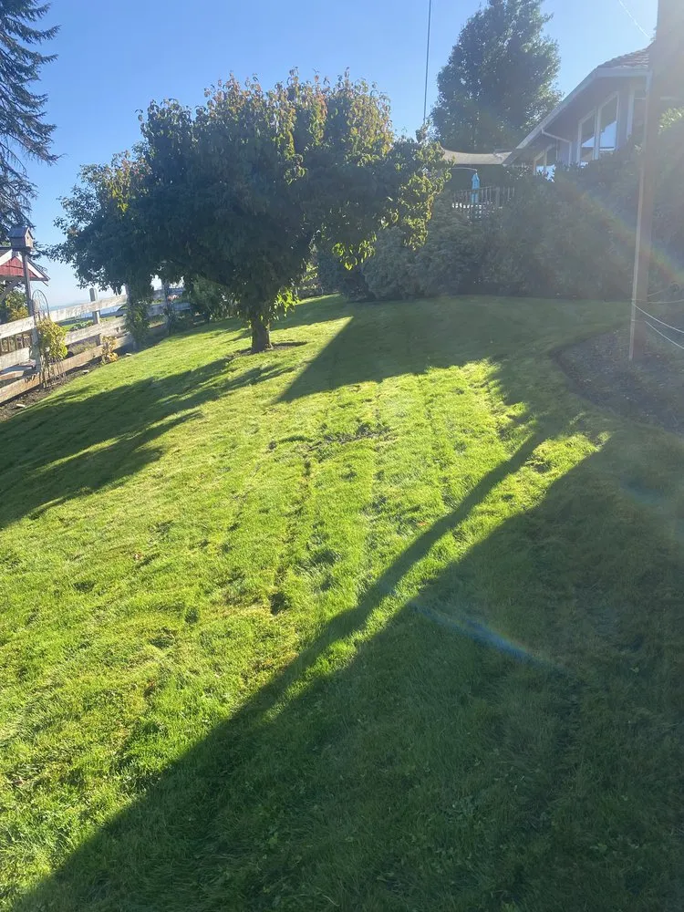 Expert lawn care service in Forest Grove, OR by Green Grove Yard Maintenance