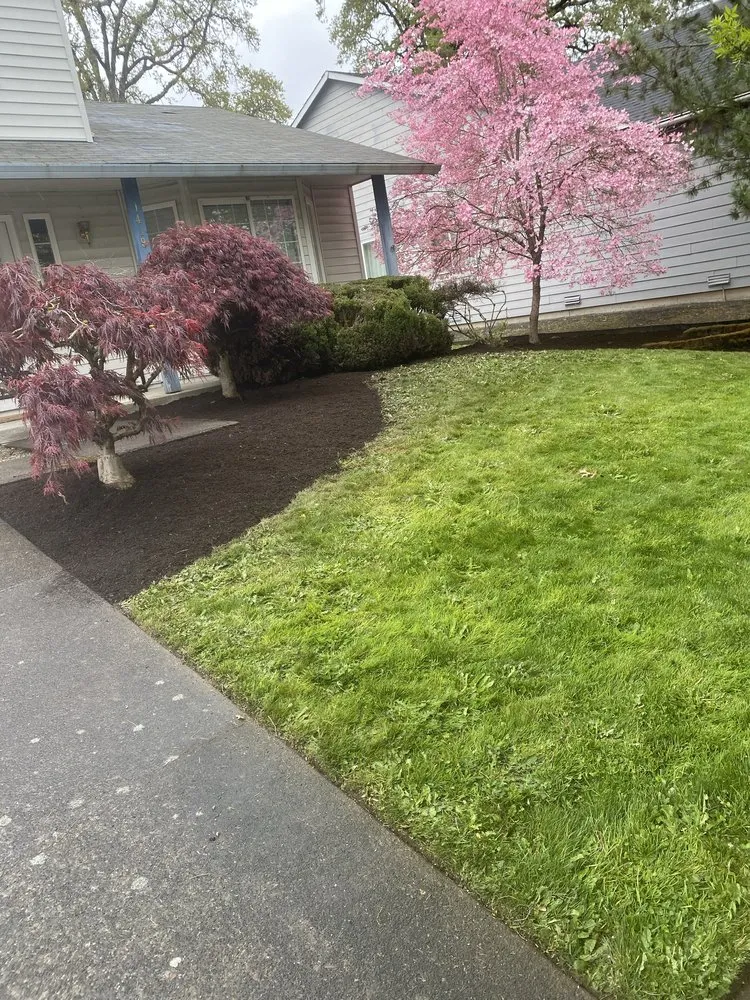 Reliable outdoor landscaping experts serving Forest Grove, OR - Green Grove Yard Maintenance