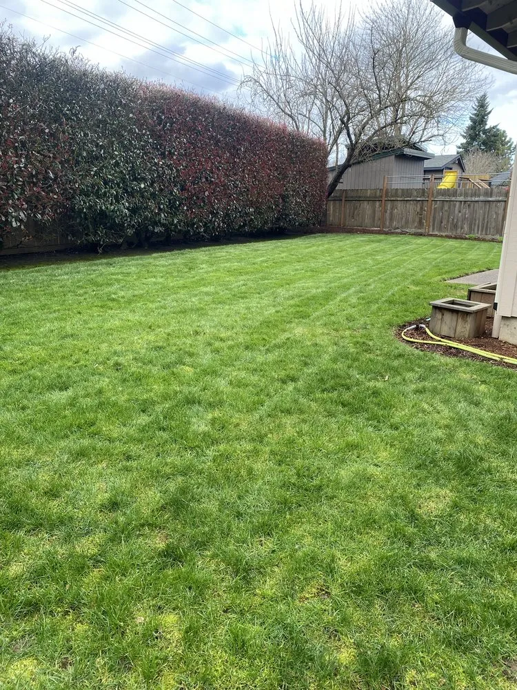 Trusted landscaping services with custom design across Forest Grove, OR - Green Grove Yard Maintenance
