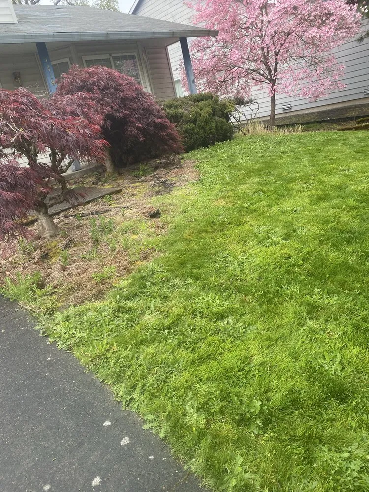 Top-rated yard maintenance in Forest Grove, OR - Green Grove Yard Maintenance