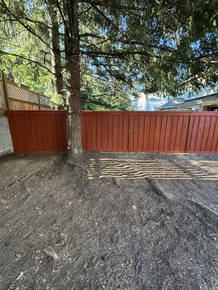 Custom yard maintenance for beautiful yards across Forest Grove, OR - Green Grove Yard Maintenance