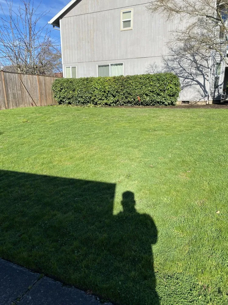 Trusted residential landscaping in Forest Grove, OR by Green Grove Yard Maintenance