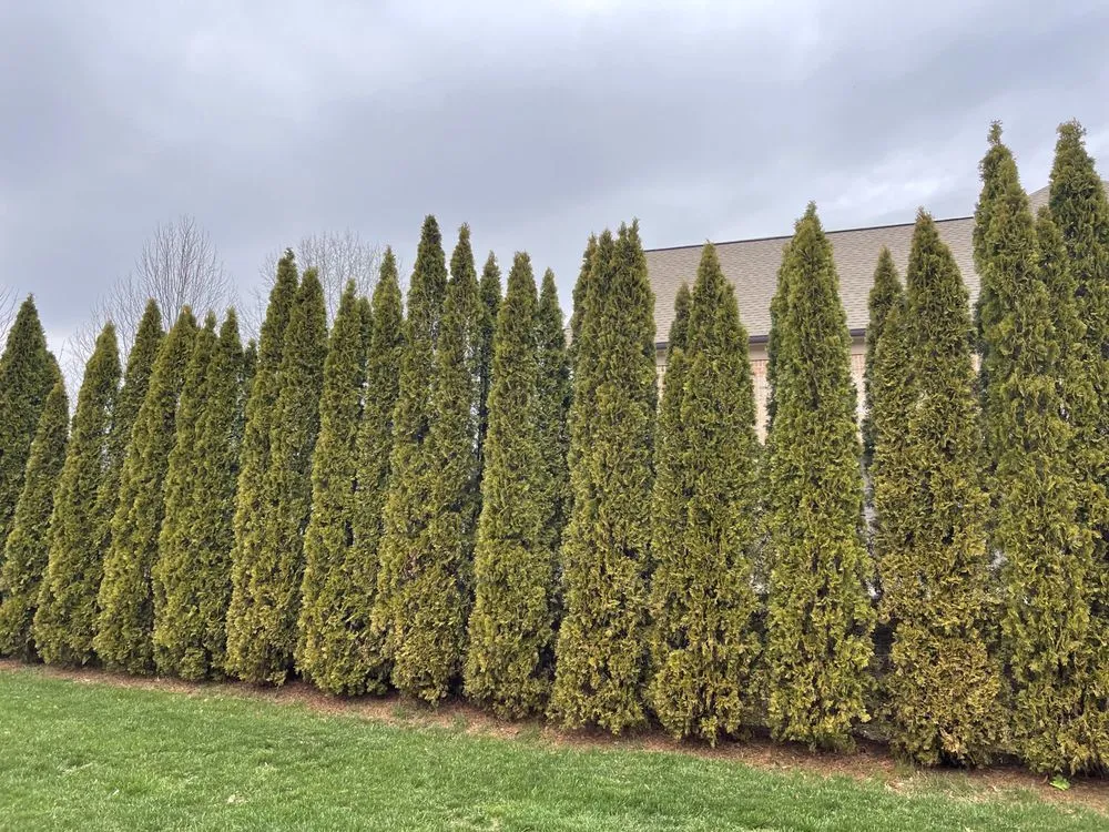 Top-rated lawn mowing service in NOLENSVILLE, TN - Green Grow Nursery and Landscaping Services