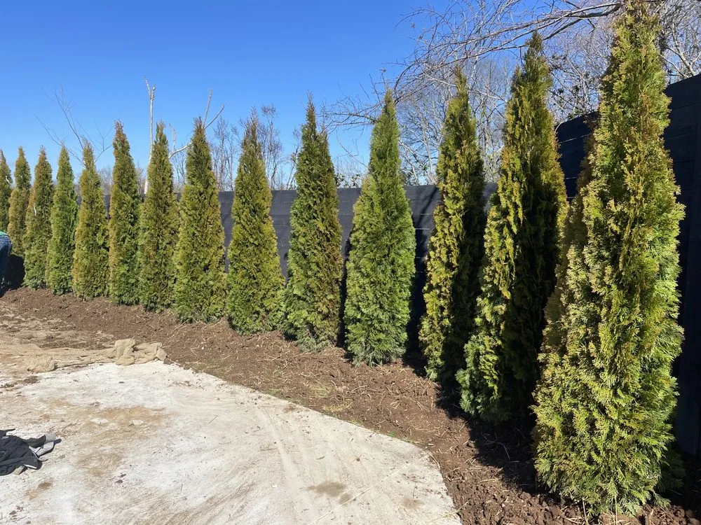 Professional yard cleanup service in NOLENSVILLE, TN - Green Grow Nursery and Landscaping Services