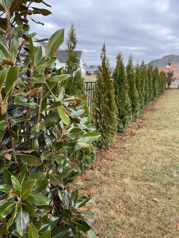Reliable yard maintenance in NOLENSVILLE, TN - Green Grow Nursery and Landscaping Services