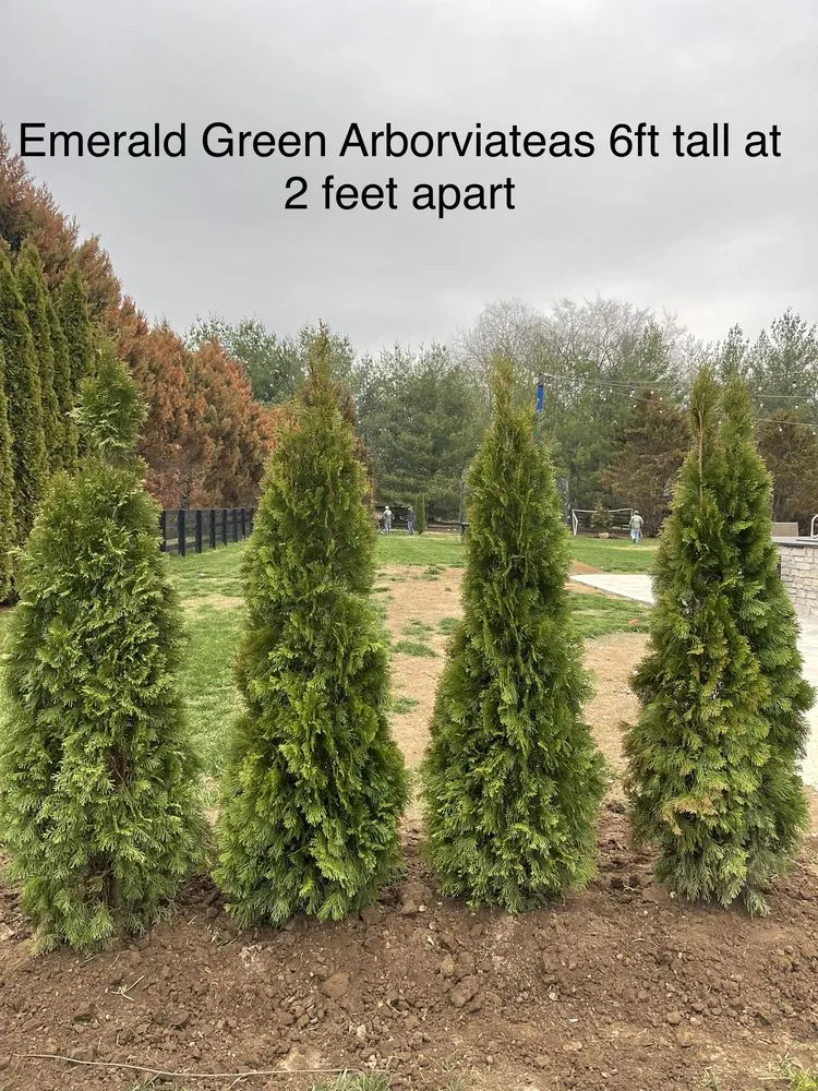 Expert lawn mowing service experts serving NOLENSVILLE, TN - Green Grow Nursery and Landscaping Services