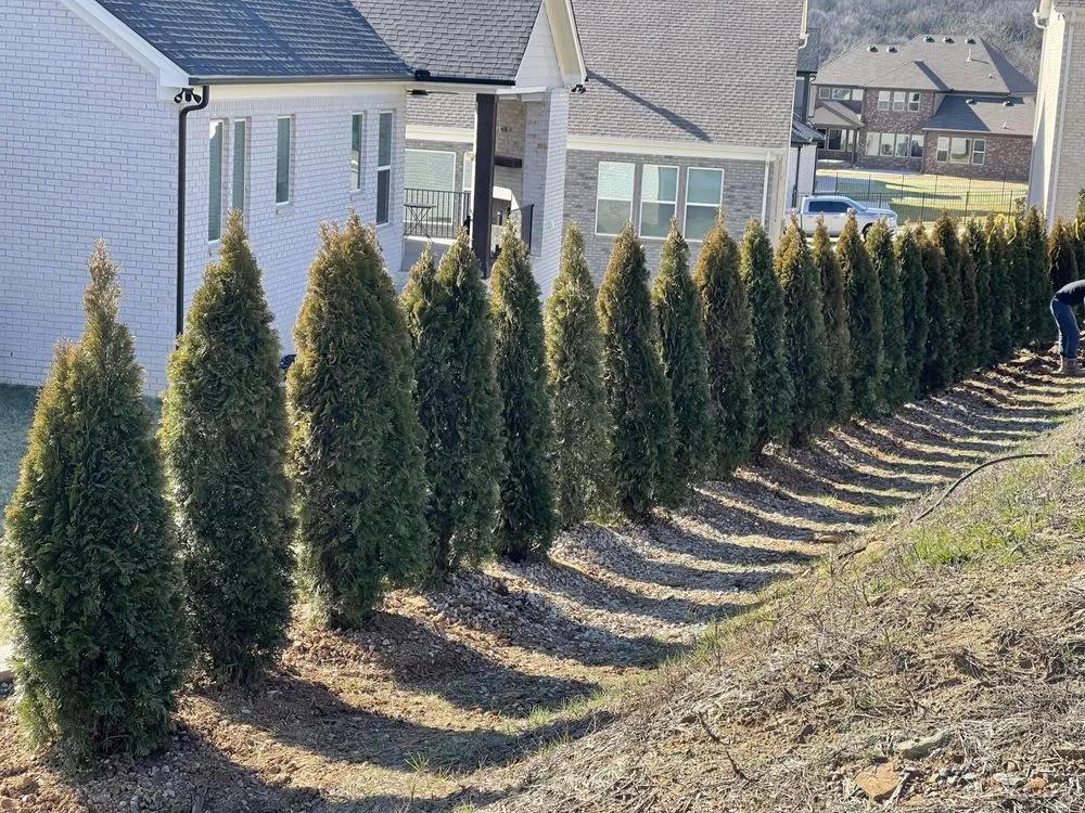 Top-rated outdoor landscaping experts serving NOLENSVILLE, TN - Green Grow Nursery and Landscaping Services