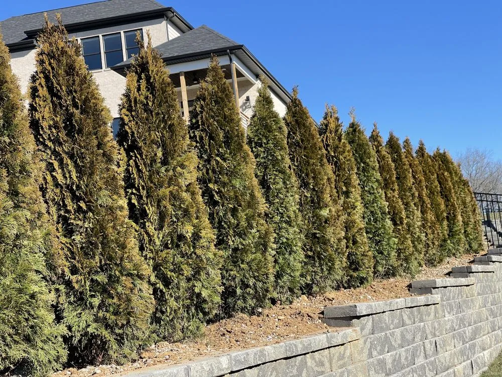 Custom yard maintenance for outdoor upgrades across NOLENSVILLE, TN - Green Grow Nursery and Landscaping Services