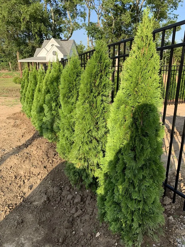Affordable outdoor landscaping in NOLENSVILLE, TN by Green Grow Nursery and Landscaping Services